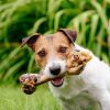 lamb bones for pets